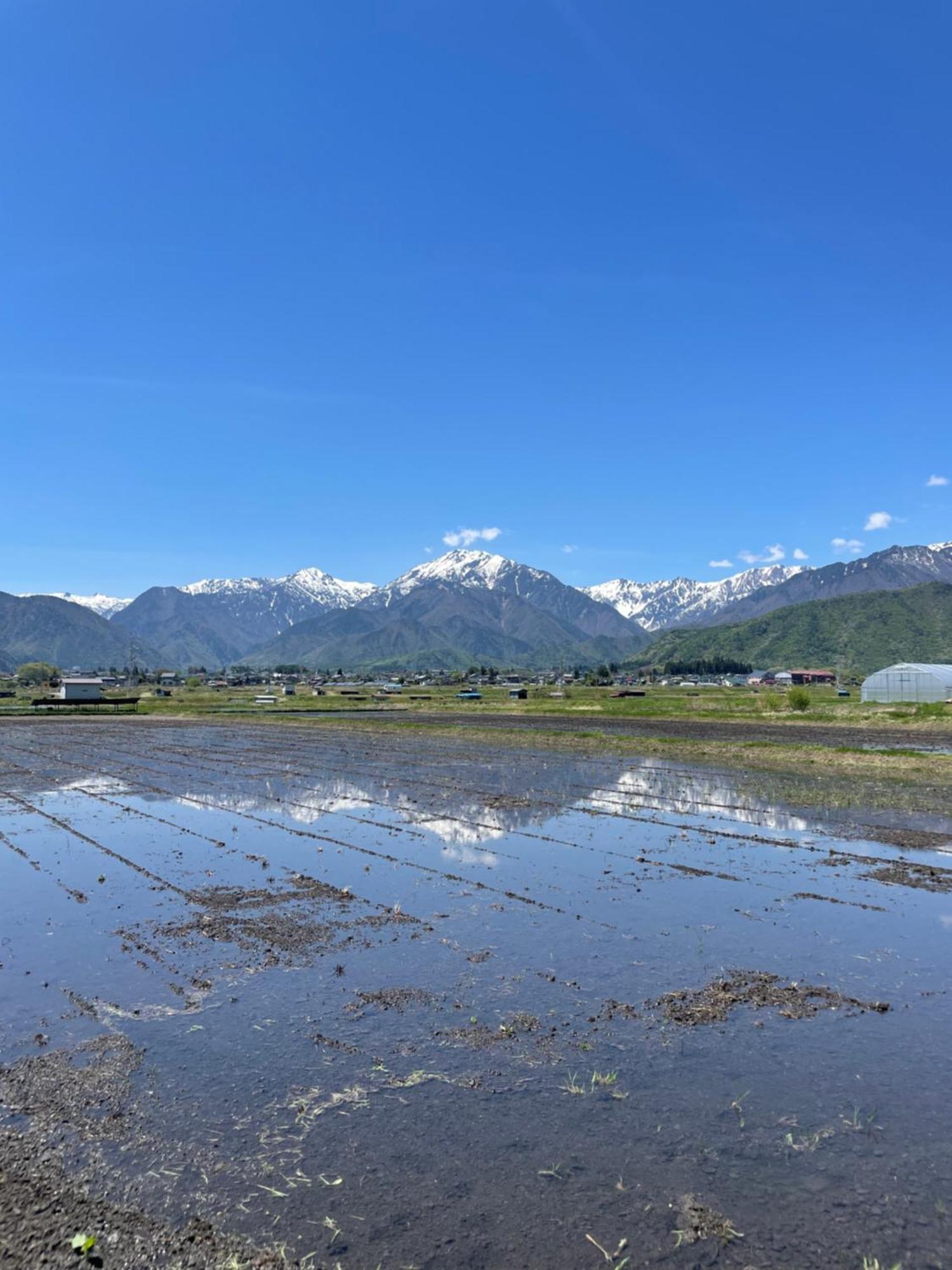 北アルプス麓のゲストハウス林屋 Omachi  Dış mekan fotoğraf
