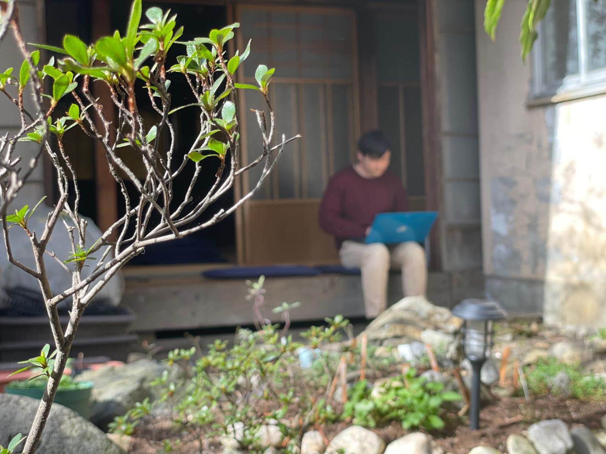 北アルプス麓のゲストハウス林屋 Omachi  Dış mekan fotoğraf